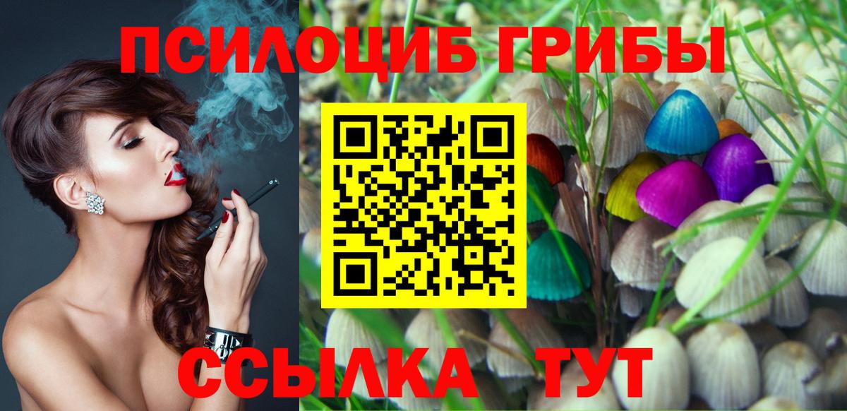 Галлюциногенные грибы Psilocybe  Вход с VPN  Тельмана 