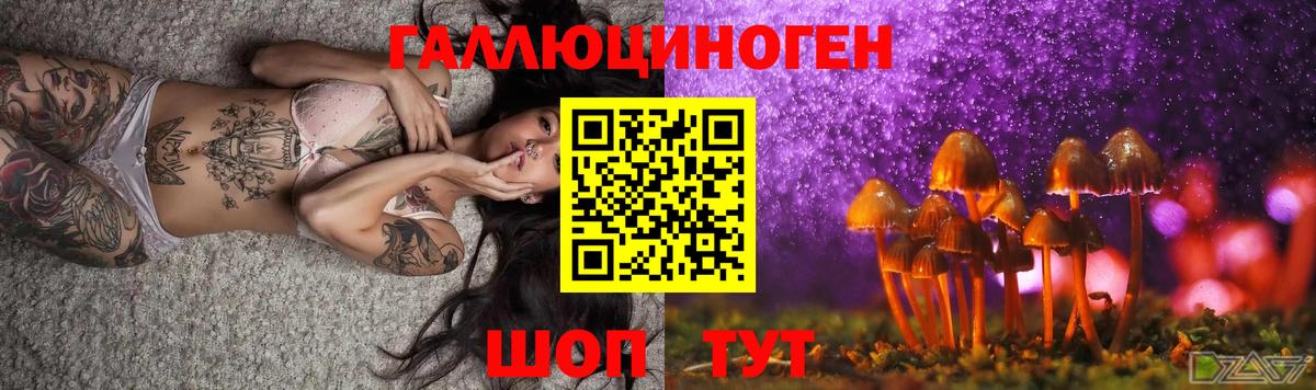 Псилоцибиновые грибы мухоморы Тельмана